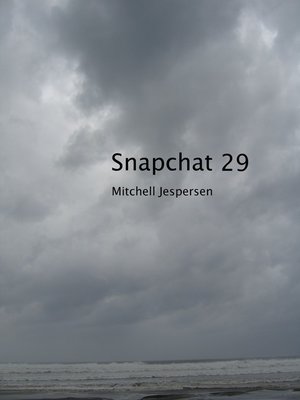 cover image of Snapchat 29